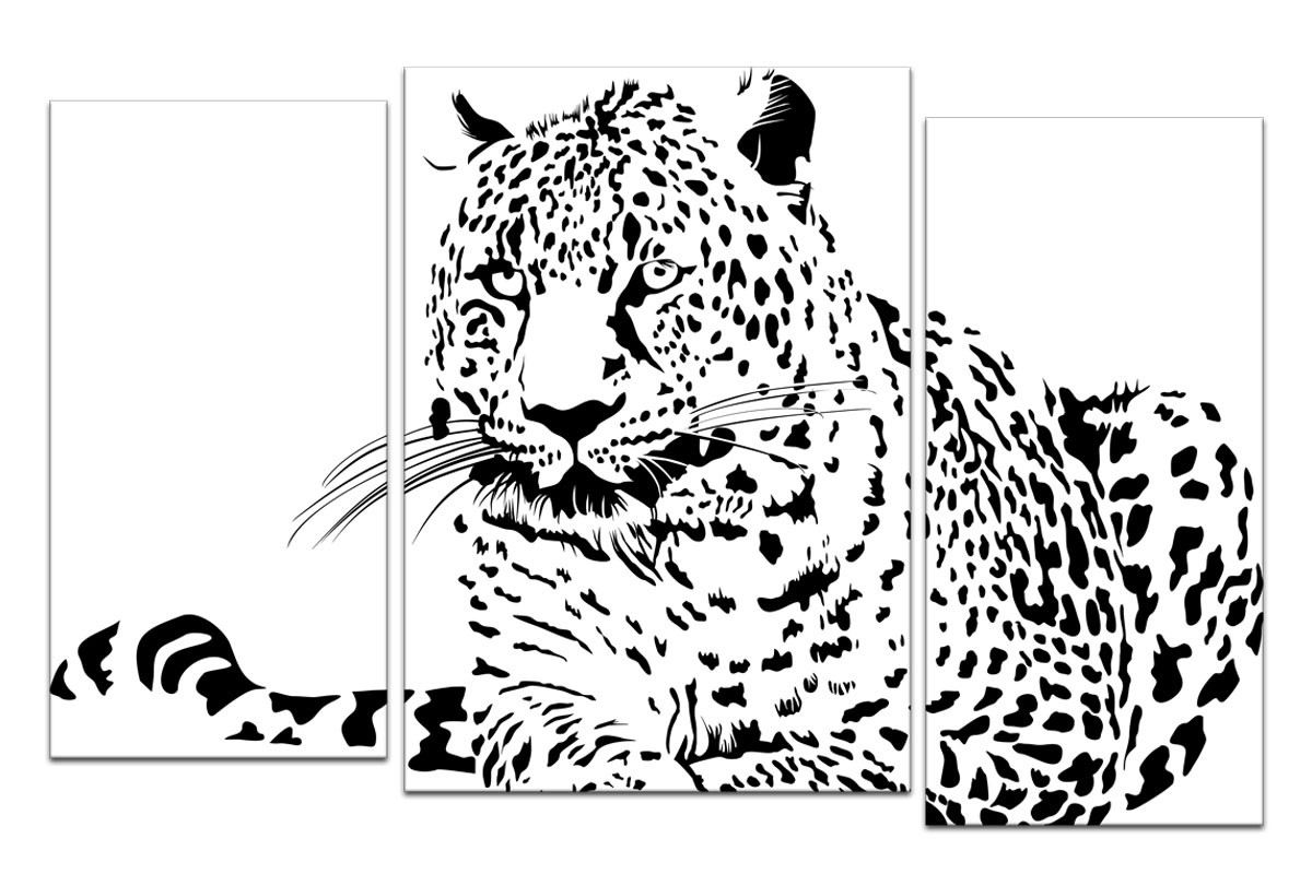Чёрно-белый леопард
