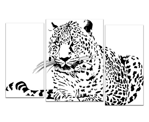 Чёрно-белый леопард