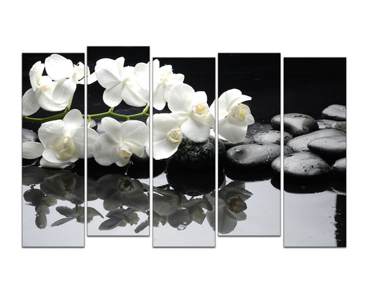 Белые орхидеи и черные камни