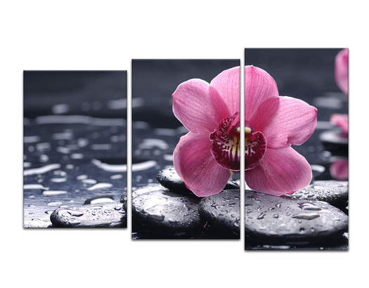 Натюрморт с розовыми орхидеями и черными камнями