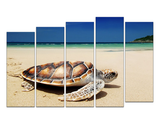 Морская черепаха на пляже