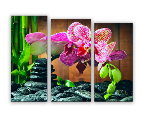 Триптих орхидеи